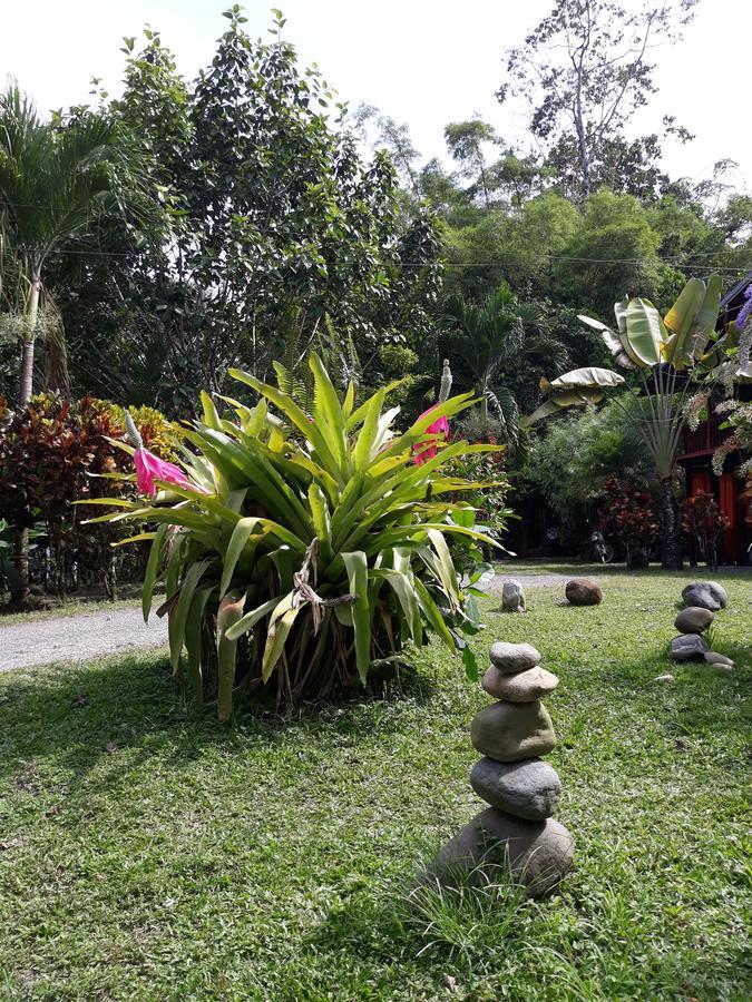 Cabinas Nirvana Ecolodge Cahuita Exterior photo